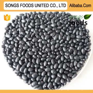 Heilongjiang Black Beans new Crop